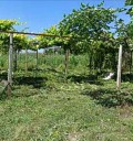Продава  Къща област Добрич , с. Дуранкулак , 125 кв.м | 55648722 - изображение [17]