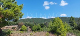 ������� ������ | Imot.bg � ����� ������ 8
