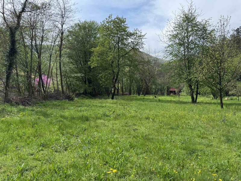 Til salgs  Hus region Sofia , Rebrovo , 120 kvm | 46504842 - bilde [16]