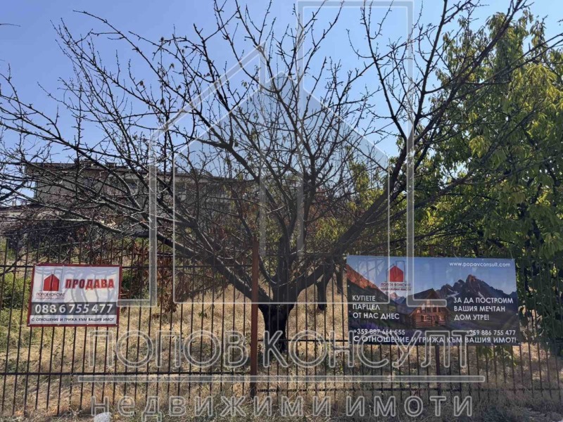 In vendita  Complotto regione Plovdiv , Brestnik , 1759 mq | 32415795