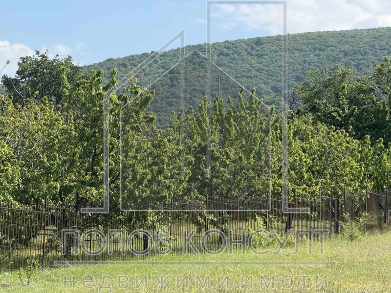 In vendita  Complotto regione Plovdiv , Brestnik , 1759 mq | 32415795 - Immagine [6]