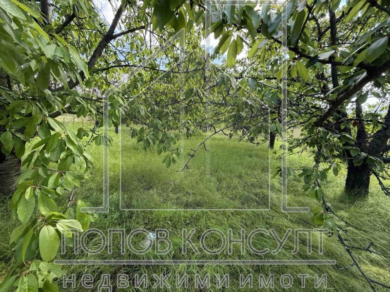 In vendita  Complotto regione Plovdiv , Brestnik , 1759 mq | 32415795 - Immagine [5]