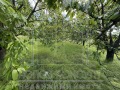 Продава ПАРЦЕЛ, област Пловдив, с. Брестник • 186500 € / 364762.29 лв. • 61747320 5