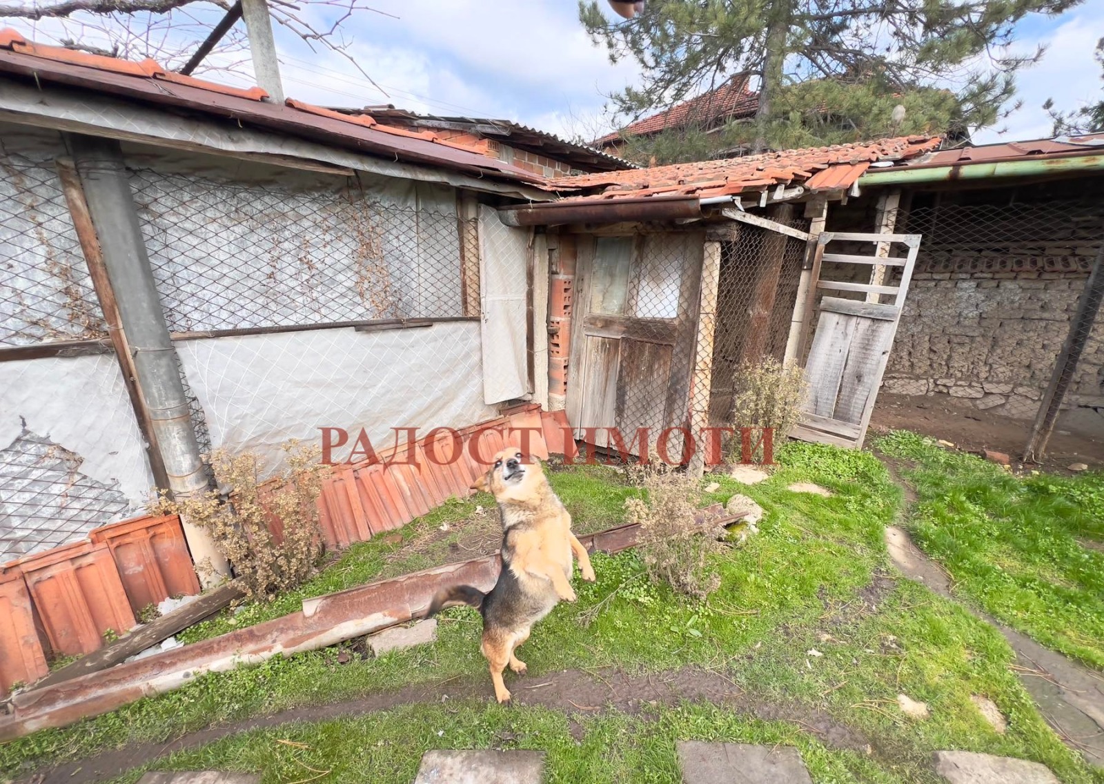 ������� ���� | Imot.bg � ����������� 15