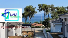 ������ ������� ����