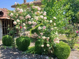 ������� ���� | Imot.bg � ����� ������ 2