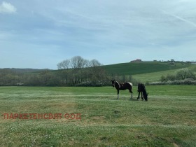 Trama Dratchevo, região Burgas 1