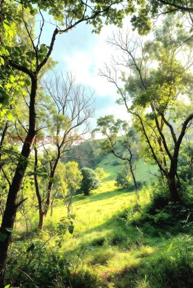 ����� ������� ������,��. �������, ������ ������