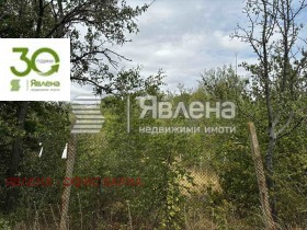 ������� ������ | Imot.bg � ����� ������ 5