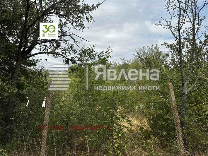 Продава ПАРЦЕЛ, с. Доброглед, област Варна, снимка 5 - Парцели - 53037963