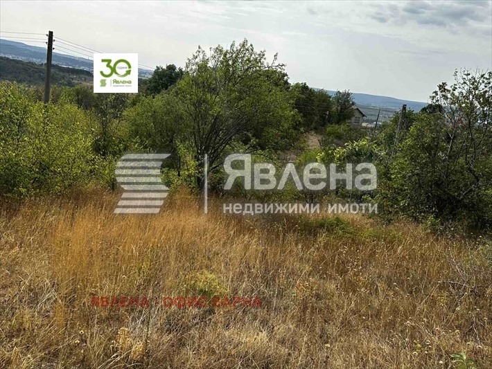 Продава ПАРЦЕЛ, с. Доброглед, област Варна, снимка 6 - Парцели - 53037963