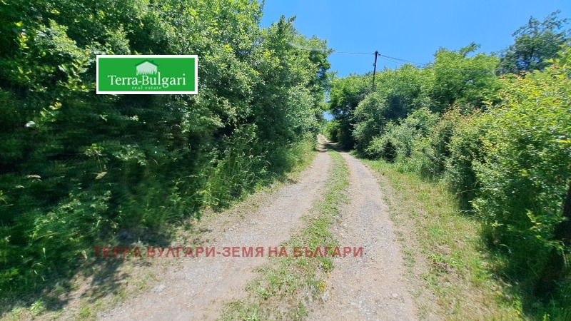 Продаја  Плот регион Перник , Драгичево , 1500 м2 | 41748510 - слика [2]