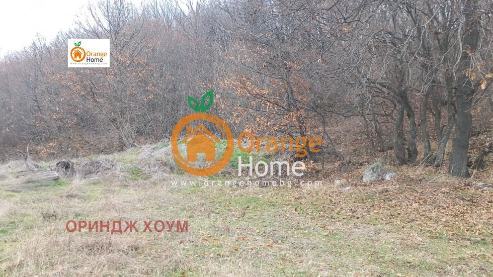 ������� ������ | Imot.bg � ����������� 3