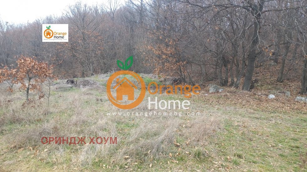 ������� ������ | Imot.bg � ����������� 8