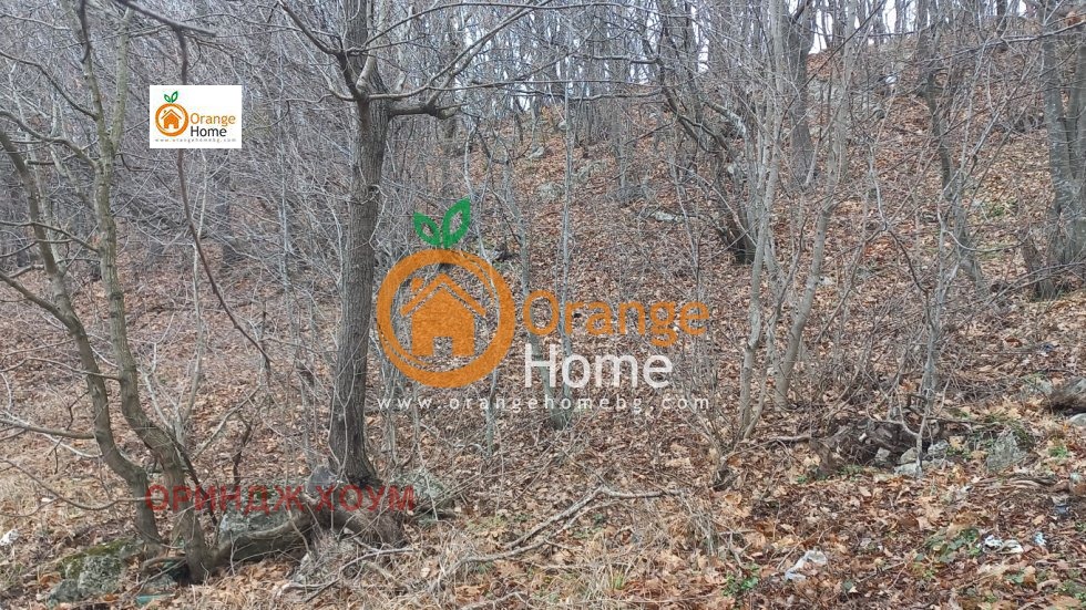 ������� ������ | Imot.bg � ����������� 5