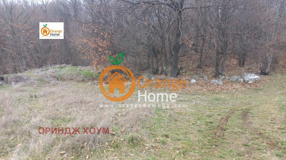 ������� ������ | Imot.bg � ����������� 7