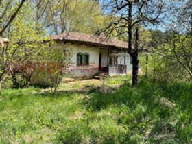 Продажба на имоти в с. Борика, област София - изображение 1 