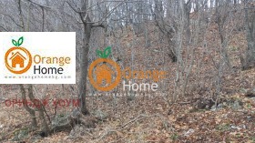 ������� ������ | Imot.bg � ����� ������ 5