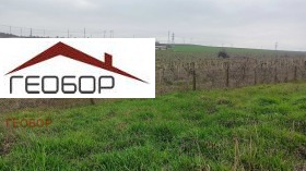 ������ ������� ������