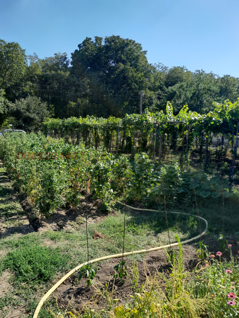 Продава КЪЩА, с. Дълбоки, област Стара Загора, снимка 13 - Къщи - 52779029