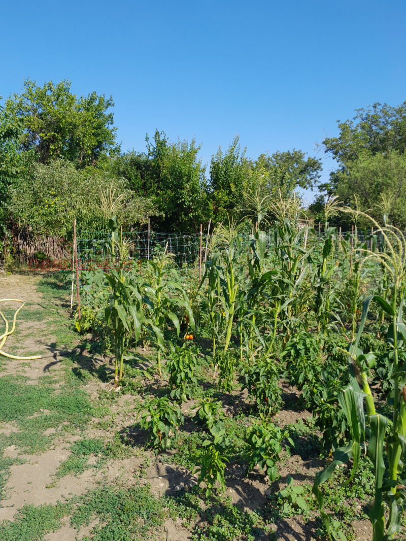 Продава КЪЩА, с. Дълбоки, област Стара Загора, снимка 16 - Къщи - 52779029