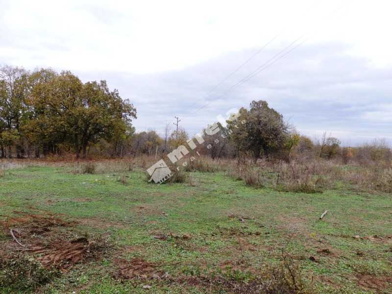 Продава ПАРЦЕЛ, с. Писменово, област Бургас, снимка 4 - Парцели - 52153369