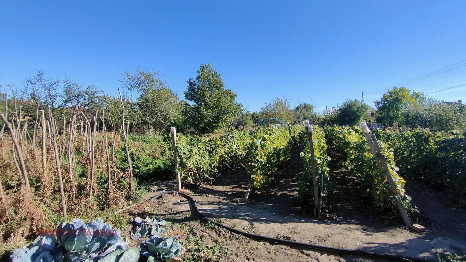Продава КЪЩА, с. Слана бара, област Видин, снимка 2 - Къщи - 54716305