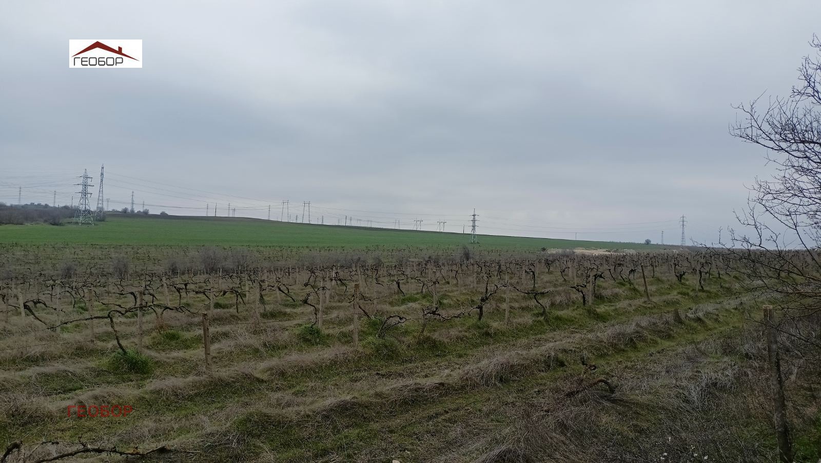 Продава ПАРЦЕЛ, с. Езерово, област Варна, снимка 3 - Парцели - 54141737