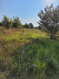 Продава ПАРЦЕЛ, гр. Перник, Тева, снимка 2