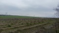 Продава ПАРЦЕЛ, област Варна, с. Езерово • 211500 € / 413658.04 лв. • 93419802 3
