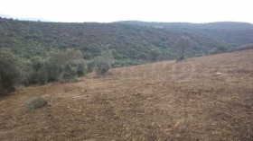 ������� ������ | Imot.bg � ����� ������ 8