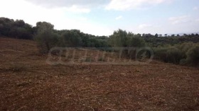 ������� ������ | Imot.bg � ����� ������ 4