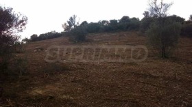 ������� ������ | Imot.bg � ����� ������ 5