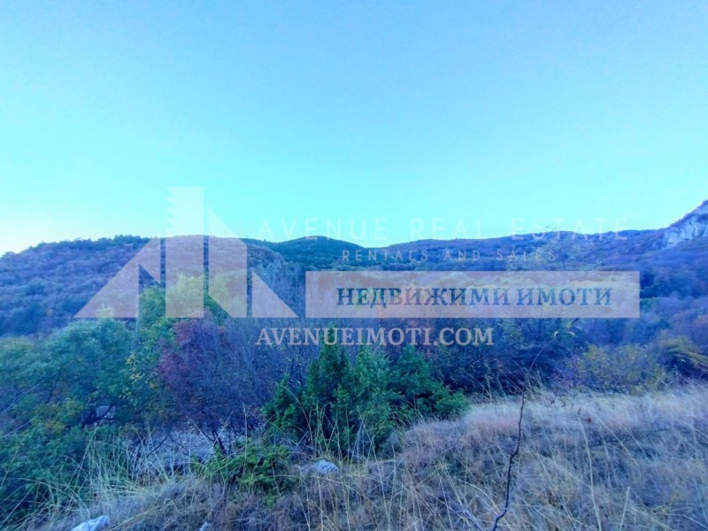 For Sale  Plot region Plovdiv , Ruen , 3362 sq.m | 71700255 - image [2]