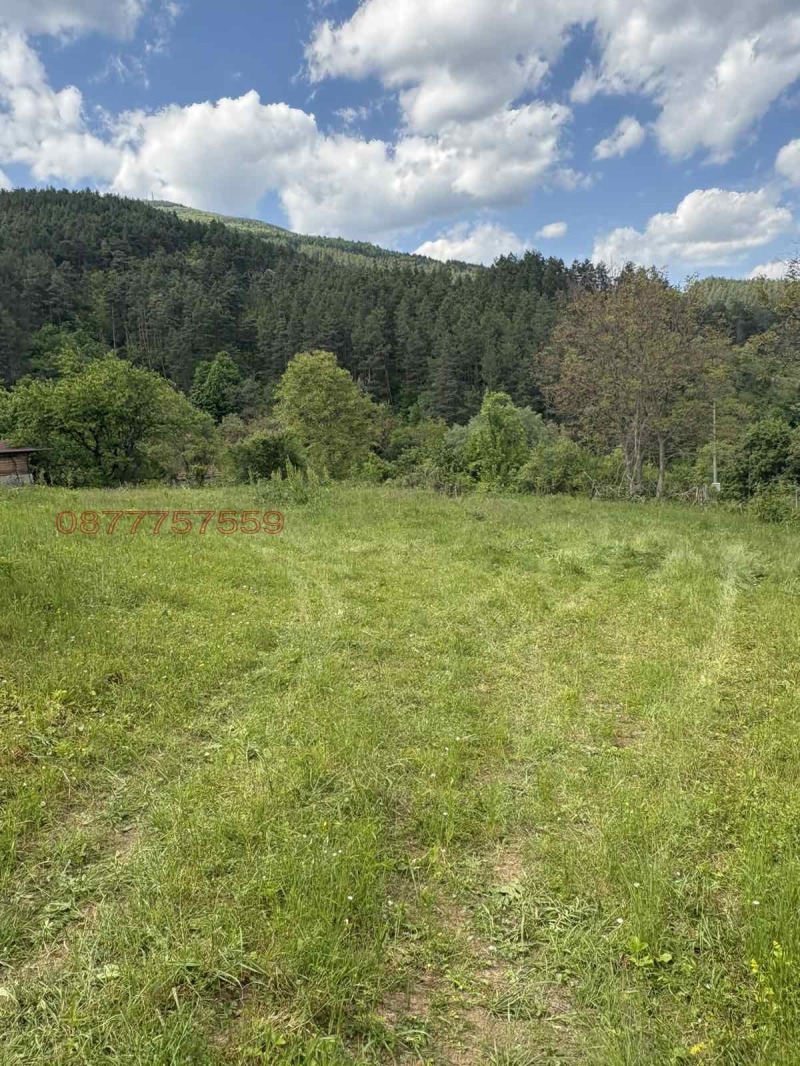 Eladó  Cselekmény régió Sofia , Rebrovo , 1400 négyzetméter | 42494127 - kép [5]