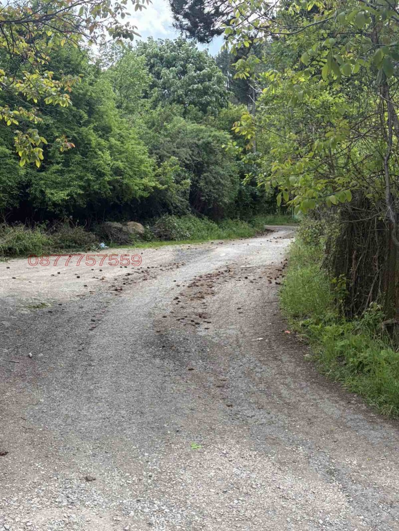 Eladó  Cselekmény régió Sofia , Rebrovo , 1400 négyzetméter | 42494127 - kép [4]