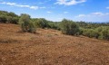 Продава ПАРЦЕЛ, Извън страната, област Извън страната, снимка 17