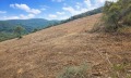 Продава ПАРЦЕЛ, Извън страната, област Извън страната, снимка 15
