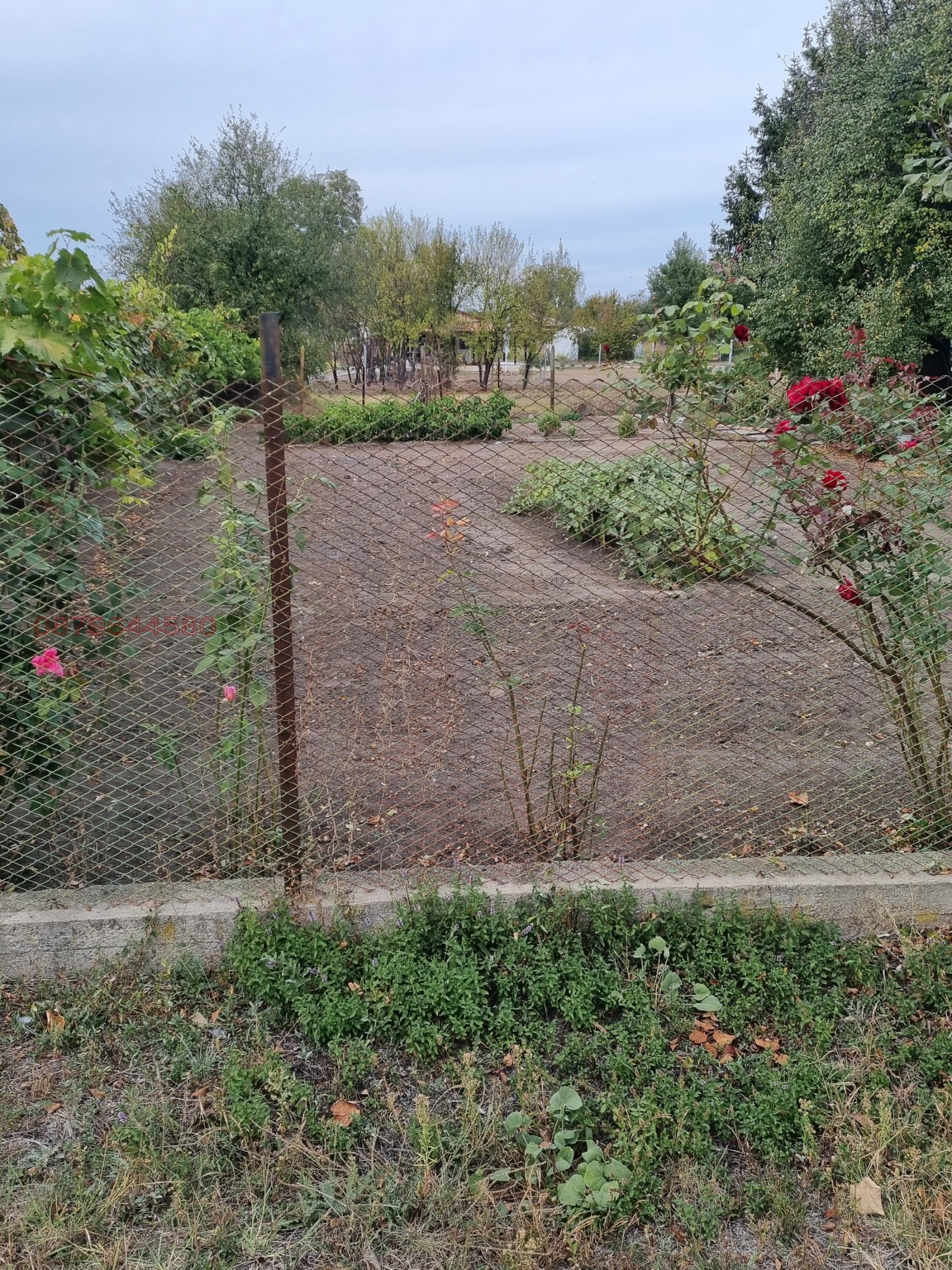 ������� ���� | Imot.bg � ����������� 2