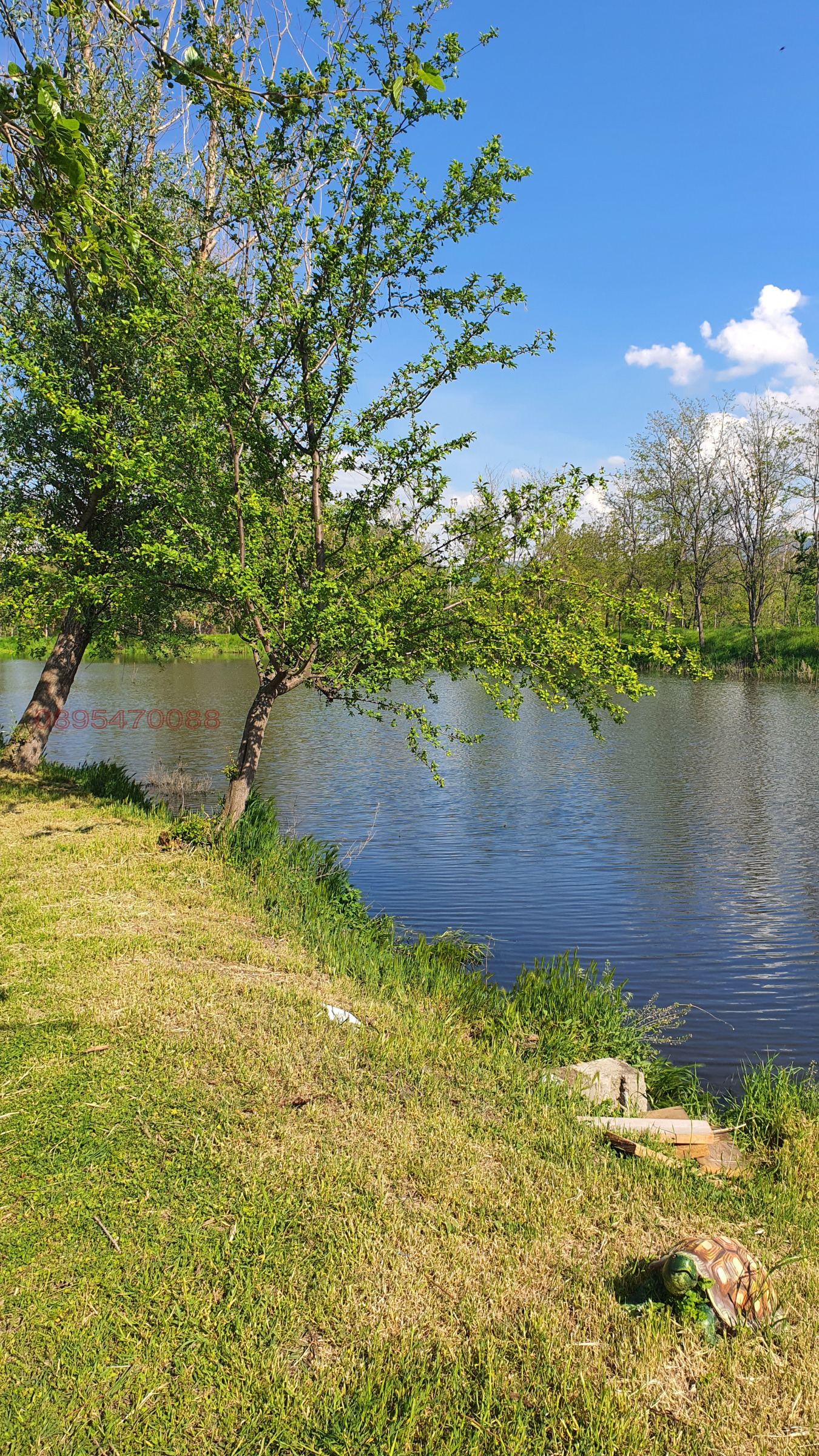 ������� ������ | Imot.bg � ����������� 1