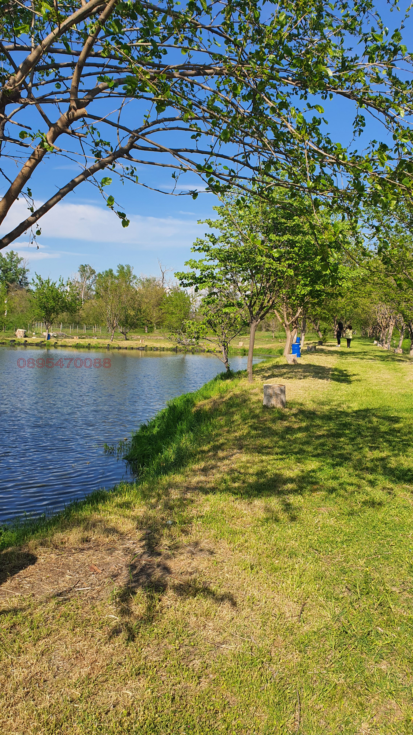 ������� ������ | Imot.bg � ����������� 2