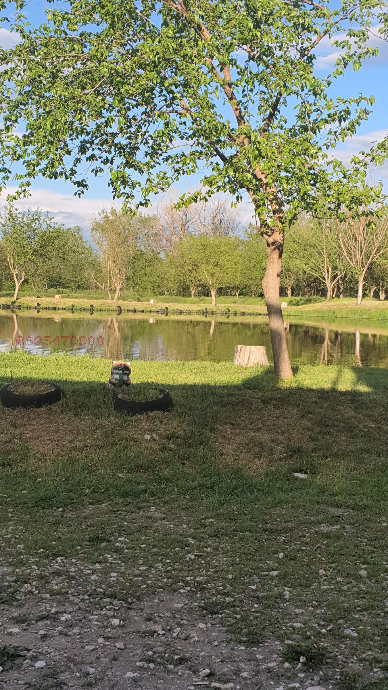 ������� ������ | Imot.bg � ����������� 12