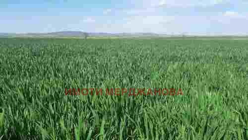 Продава ЗЕМЕДЕЛСКА ЗЕМЯ, гр. Мъглиж, област Стара Загора