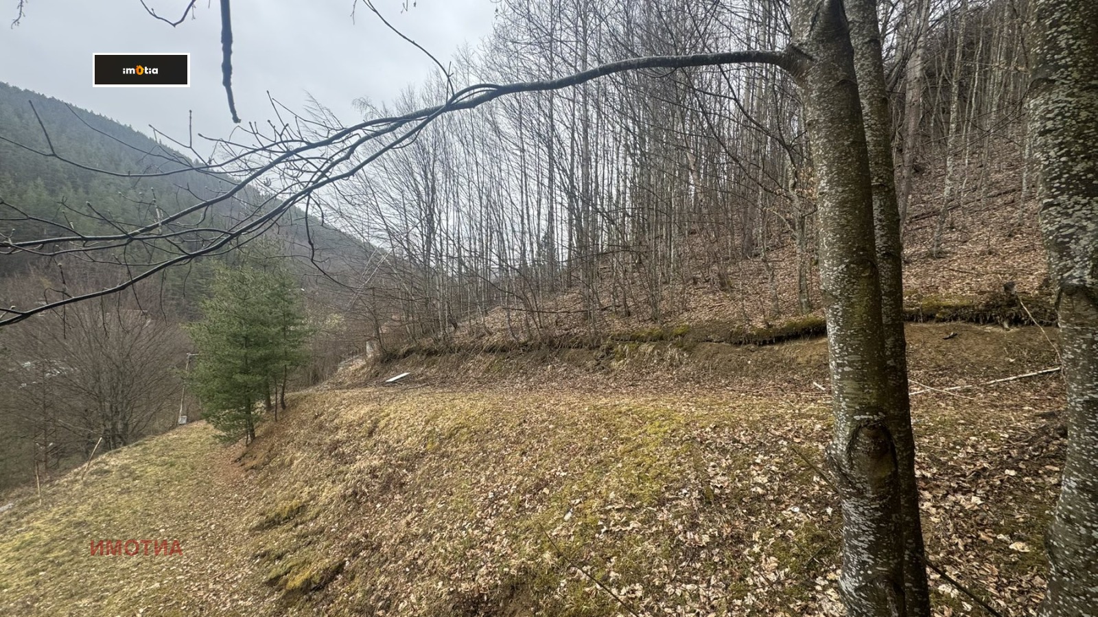 Продава ХОТЕЛ, с. Шипково, област Ловеч, снимка 4 - Хотели - 54285219