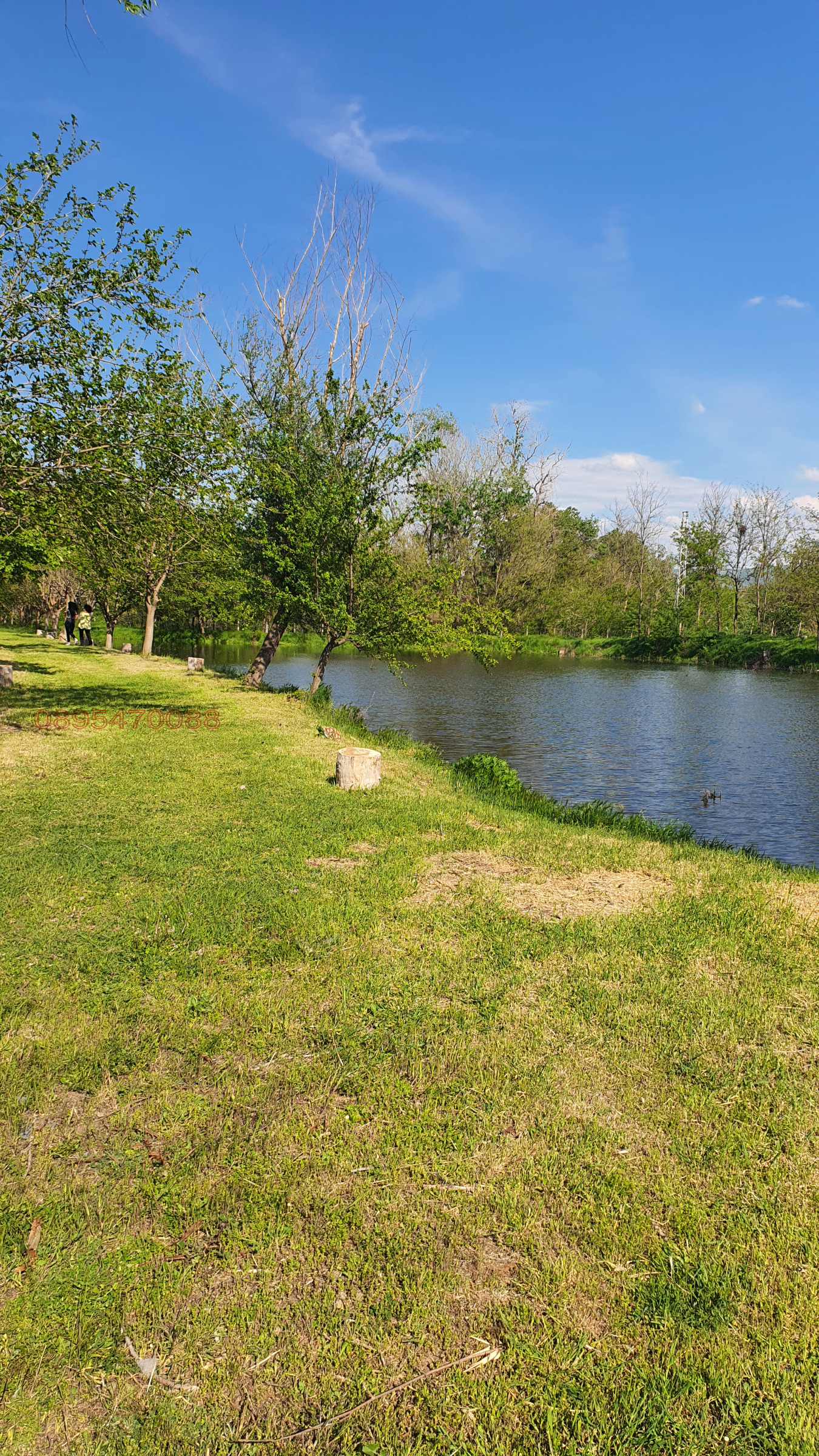 Продава ПАРЦЕЛ, с. Куртово Конаре, област Пловдив, снимка 5 - Парцели - 53996444