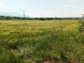 Продава ПАРЦЕЛ, гр. София, с. Лозен, снимка 2
