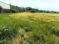 Продава ПАРЦЕЛ, град София, с. Лозен • 300000 € • 13944691 — Holmes.bg