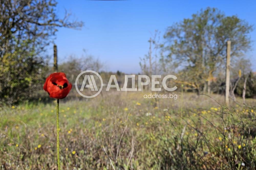 Продава ПАРЦЕЛ, гр. Варна, м-т Боровец - север, снимка 2 - Парцели - 55129513