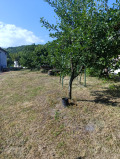 Продава КЪЩА, с. Гълъбовци, област София област, снимка 9