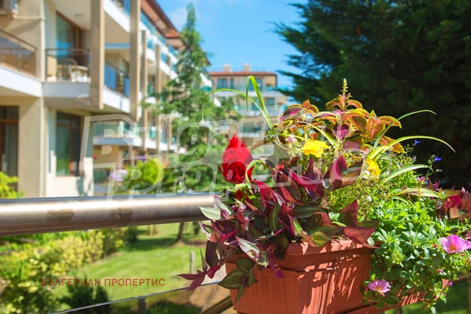 ������� 1-����� | Imot.bg � ����������� 10